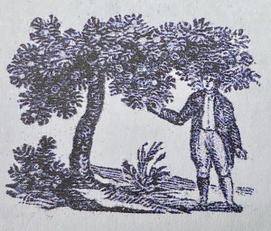 Hinck & Wall Rare Books
